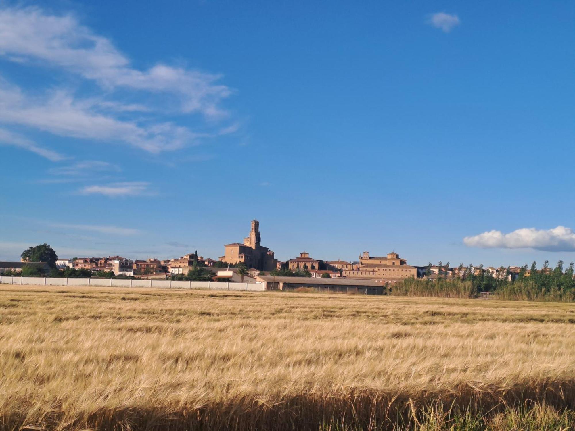 Apartamento Rural Las Canas Esencia De Bardenas Villafranca Zewnętrze zdjęcie